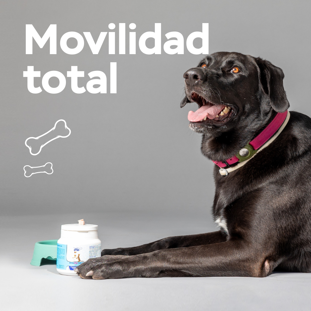 ARTRO-PETS COMPLEX POLVO