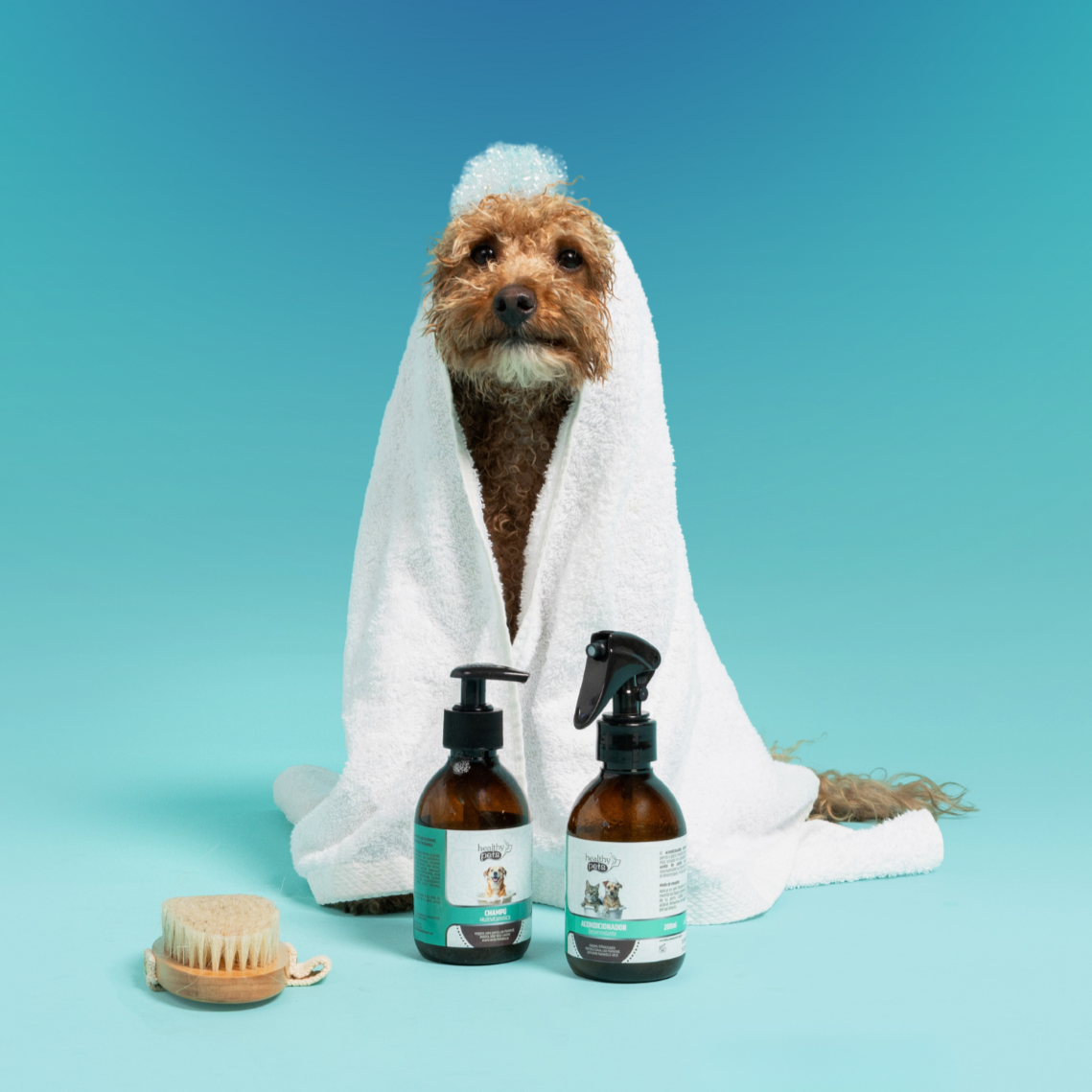 champu y acondicionador para perros y gatos