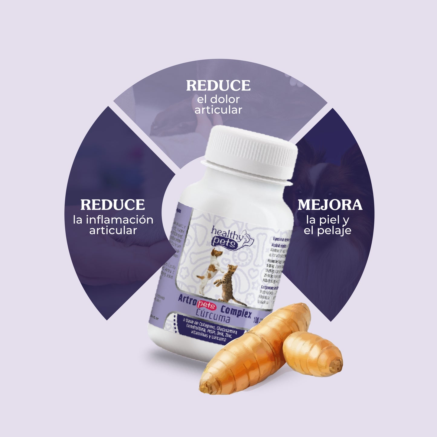 ARTRO-PETS COMPLEX CÚRCUMA 300g