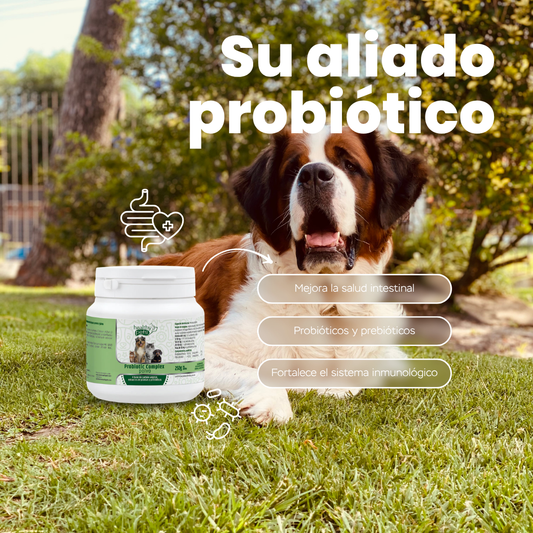 PROBIOTIC COMPLEX