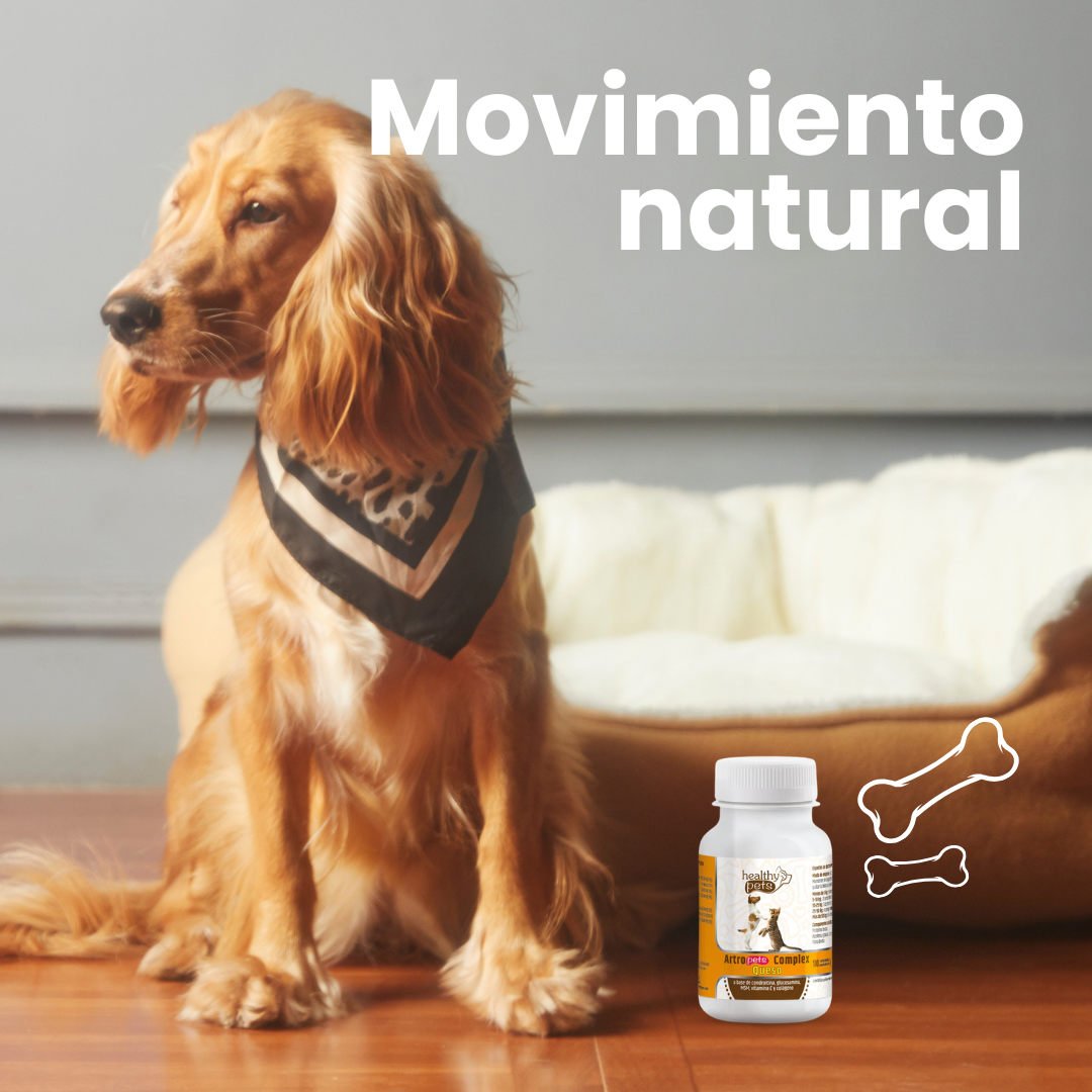 ARTRO-PETS COMPLEX Sabor queso 100 comprimidos de 1g