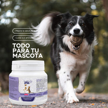 ARTRO-PETS COMPLEX CÚRCUMA 300g