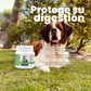 PROBIOTIC COMPLEX