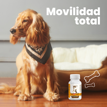 ARTRO-PETS COMPLEX Sabor queso