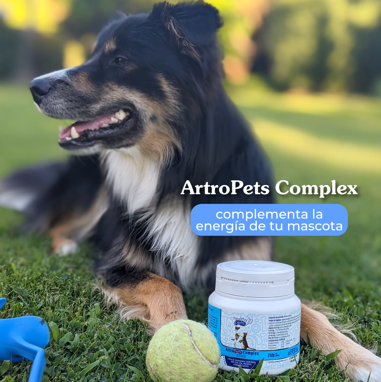 Artro complex: para complementar la energía de tu mascota.. BESLAN HEALTHY PETS