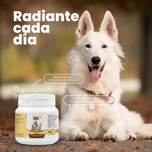 HEALTHY COMPLEX polvo