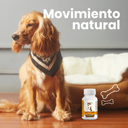 ARTRO-PETS COMPLEX Sabor queso 100 comprimidos de 1g